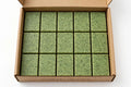 Elomcebo Organics- Moringa Soap 135g