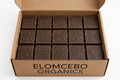 Elomcebo Organics-Ubulongwe Soap 135g